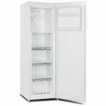 CHiQ 206 L Upright Freezer (Brand New) - Brisbane Home Appliances